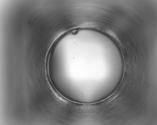 X0000064051087200602101444