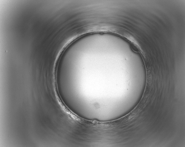 X0000064051088200602101444