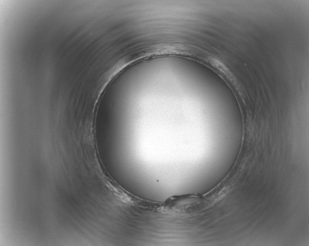 X0000064051089200602101444