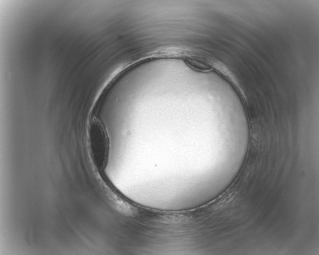 X0000064051091200602101444