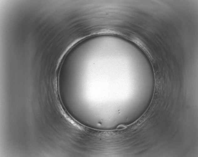 X0000064051092200602101444