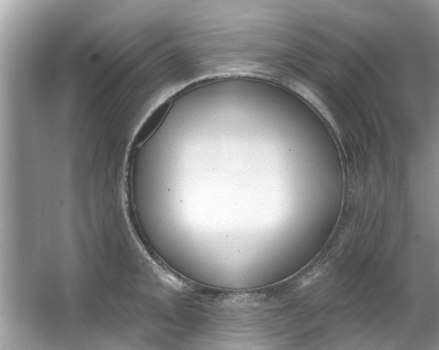 X0000064051093200602101444