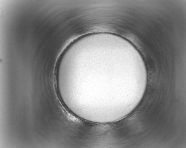 X0000064051094200602101444