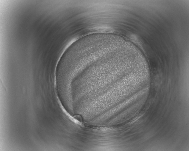 X0000064051095200602101444