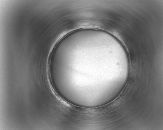 X0000064051096200602101444