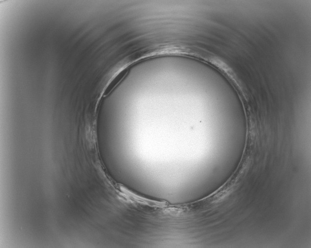 X0000064051097200602101444