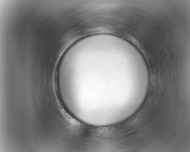 X0000064051098200602101444