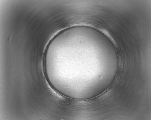 X0000064051100200602101444