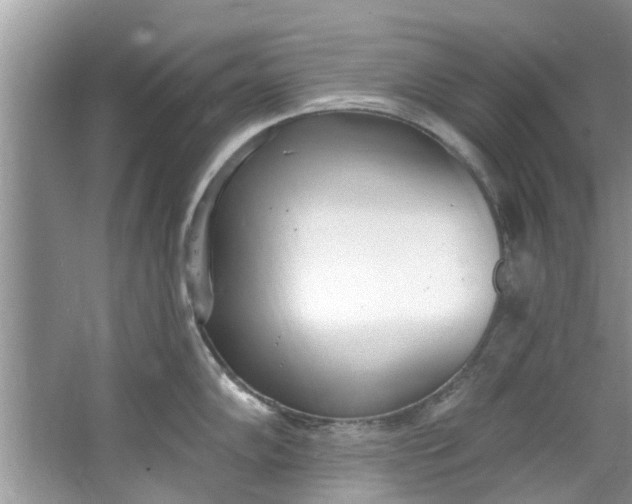 X0000064051102200602101444