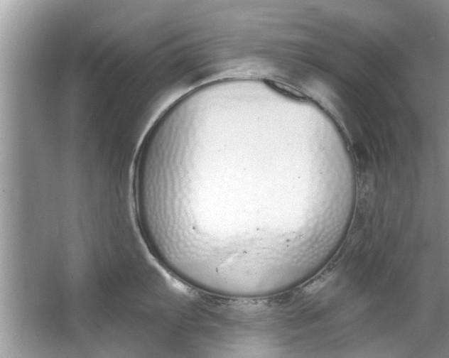 X0000064051103200602101444