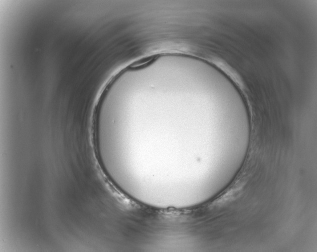 X0000064051104200602101444