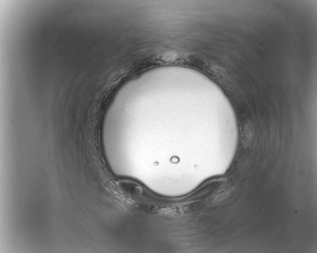 X0000064051105200602101443