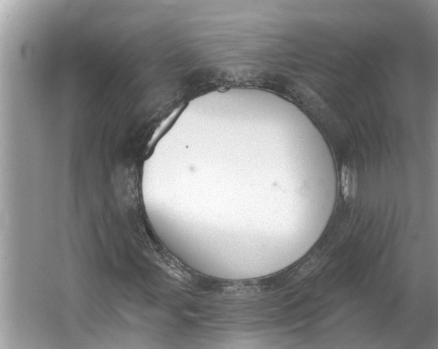 X0000064051107200602101443