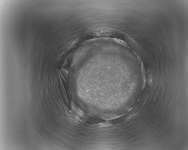 X0000064051108200602101443