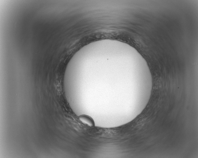 X0000064051109200602101443