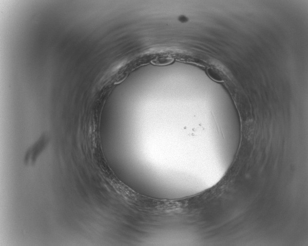 X0000064051111200602101443