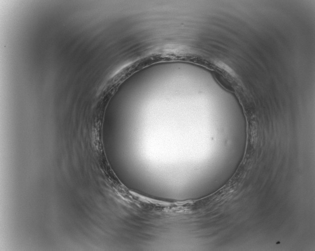 X0000064051112200602101443