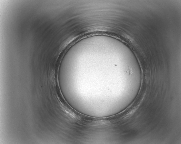 X0000064051113200602101443