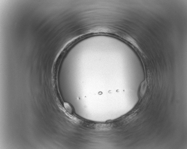 X0000064051116200602101443