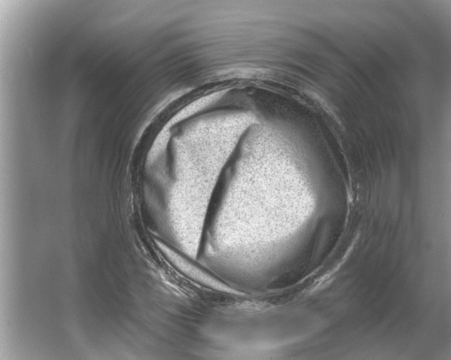 X0000064051117200602101443