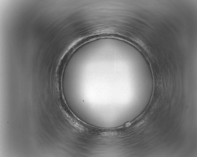 X0000064051118200602101443