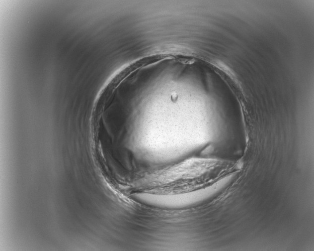 X0000064051120200602101443