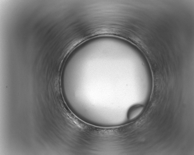 X0000064051121200602101443