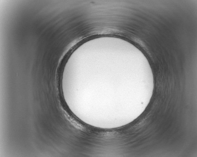 X0000064051122200602101443