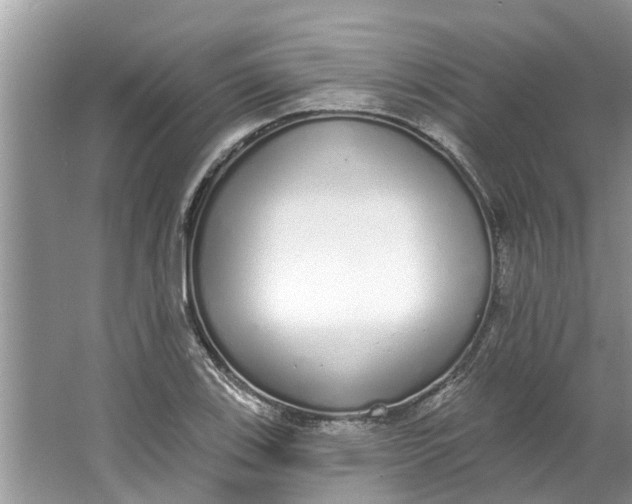 X0000064051123200602101443