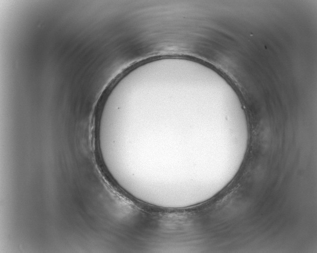 X0000064051126200602101443