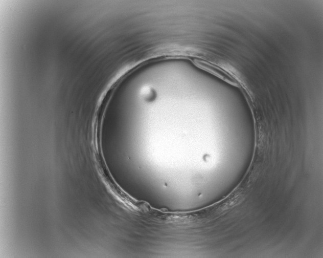 X0000064051128200602101443