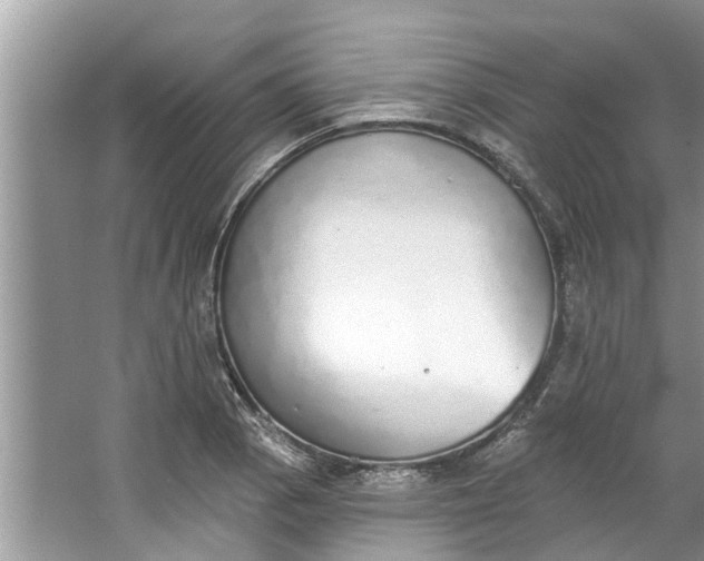 X0000064051129200602101443