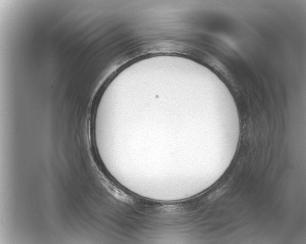 X0000064051130200602101443