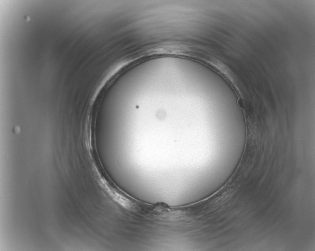 X0000064051131200602101443