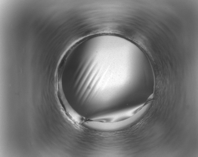 X0000064051132200602101443