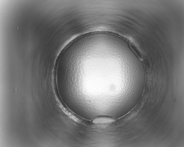 X0000064051134200602101444