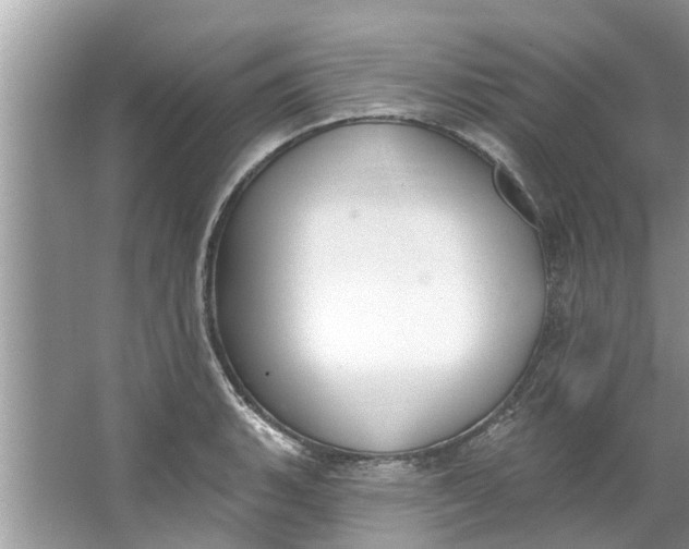 X0000064051135200602101444