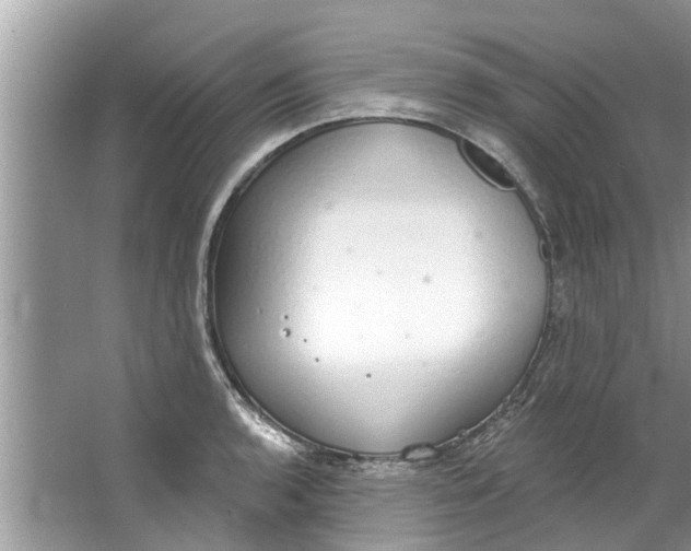 X0000064051136200602101444