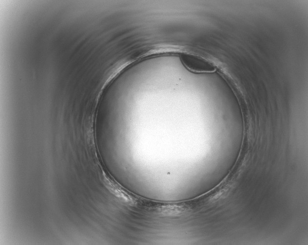 X0000064051137200602101444