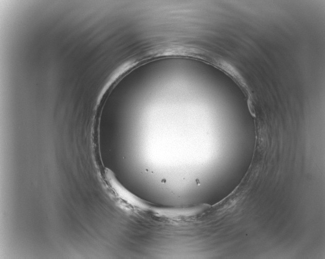 X0000064051138200602101444