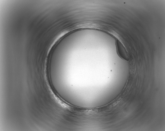 X0000064051139200602101444