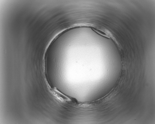 X0000064051140200602101444