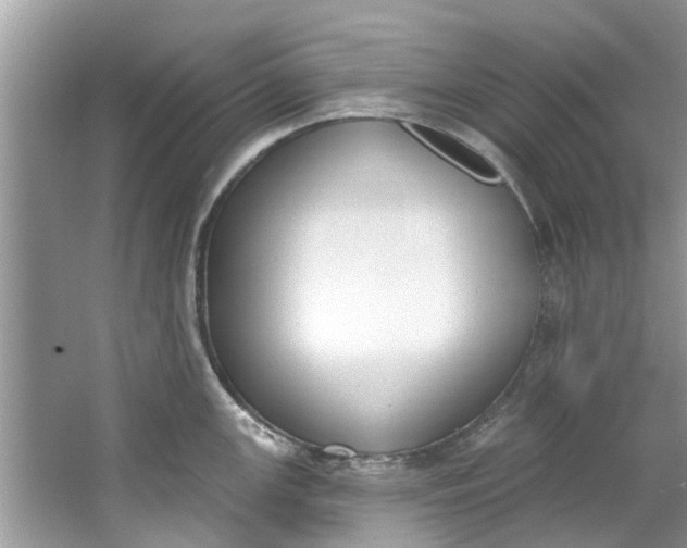 X0000064051147200602101444