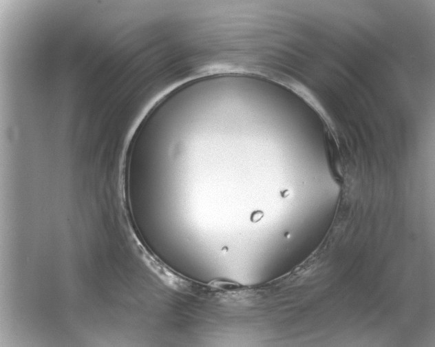 X0000064051148200602101444