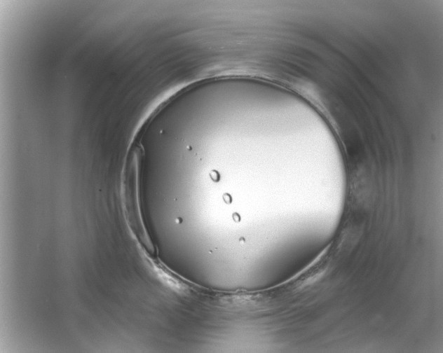 X0000064051149200602101444