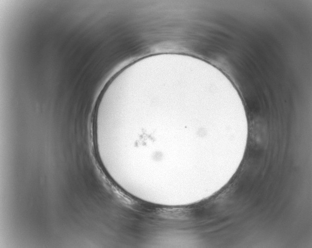 X0000064051150200602101444