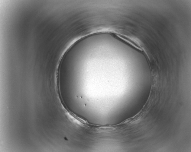 X0000064051151200602101444