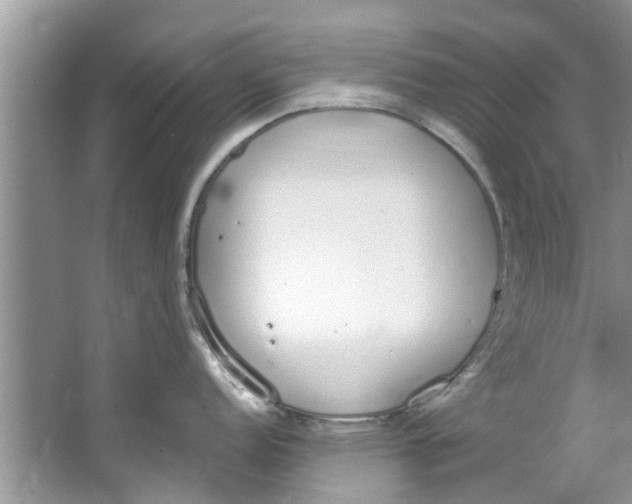 X0000064051152200602101444