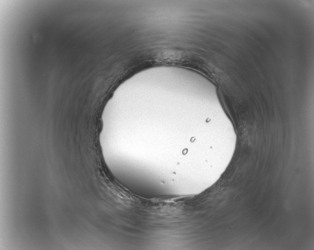 X0000064051153200602101443