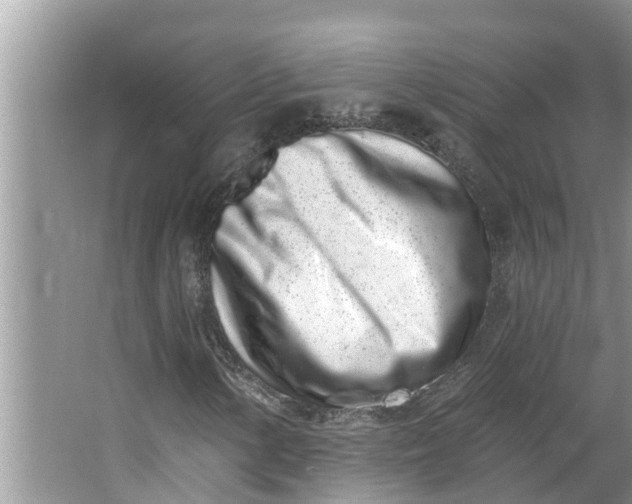 X0000064051154200602101443